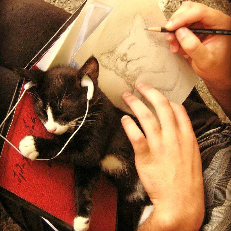 A black-and-white cat asleep on a lap with earphones over its ears, while a hand draws its portrait in pencil on a sheet held beside it.